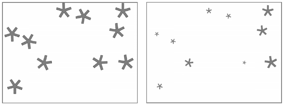 _images/05_birth_random-orientation.png