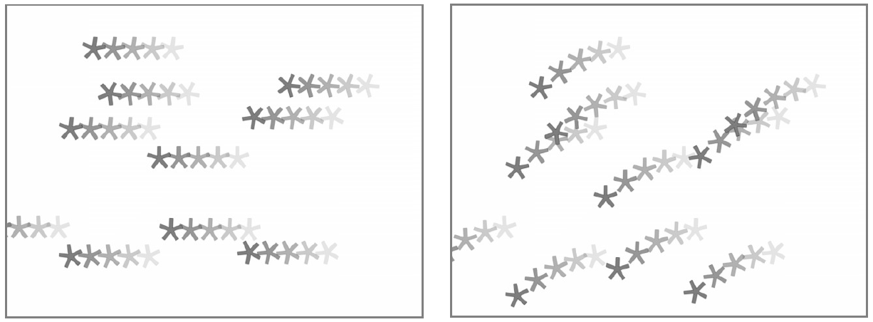 _images/06_environment_gravity.png