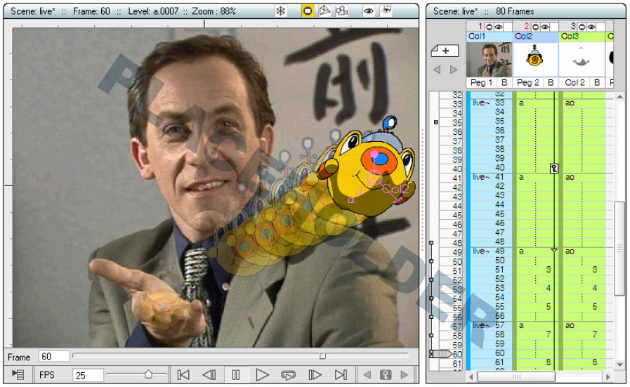 _images/onion_skin.png